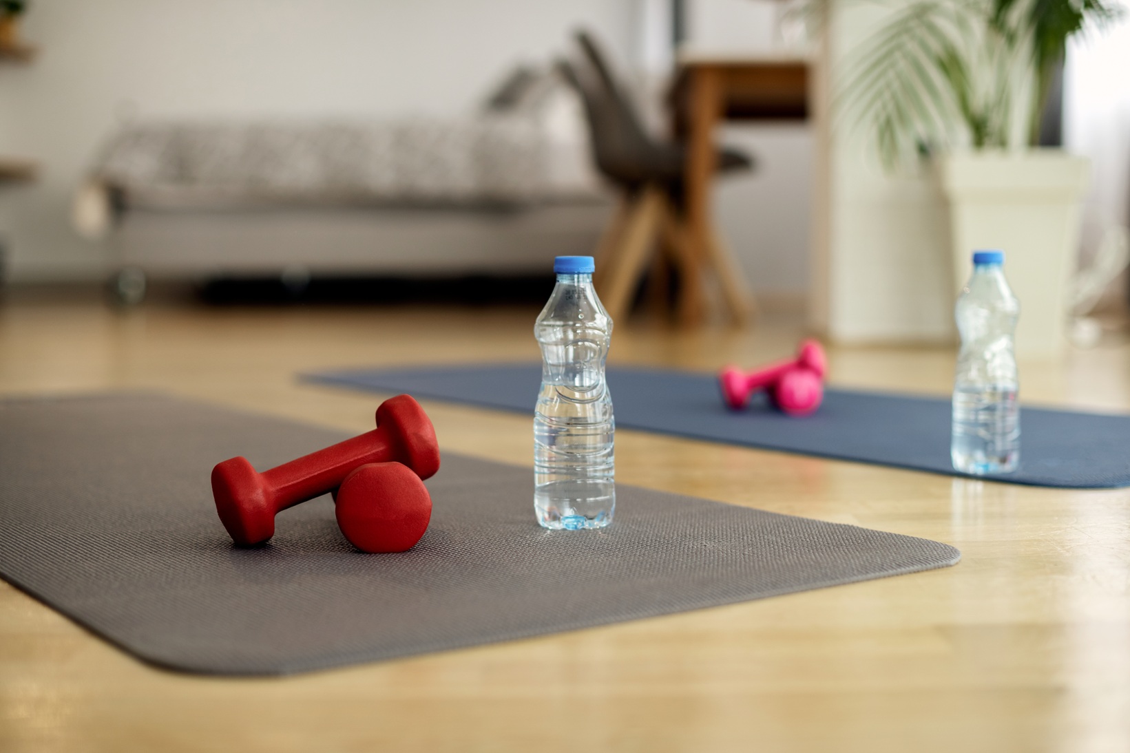 Home Fitness